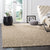 Plush Area Rug for Living Room 1.5" Thick, 10' x 14', Beige