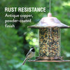 Copper Wild Bird Feeder, 2 lb