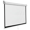 Removable projector screen