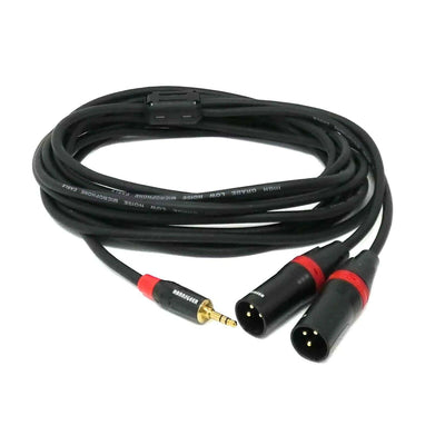 3,5mm TRS Stereo to Dual XLR Male Y Splitter Cable (12ft)